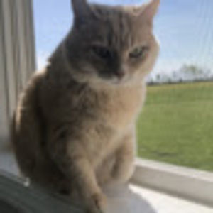 Meet your Posher, Caroline